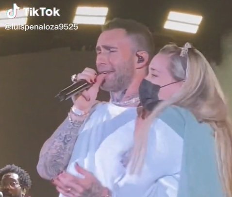 Fan Gropes Adam Levine During Maroon 5 Concert (And His Reaction Is Very Adam Levine)