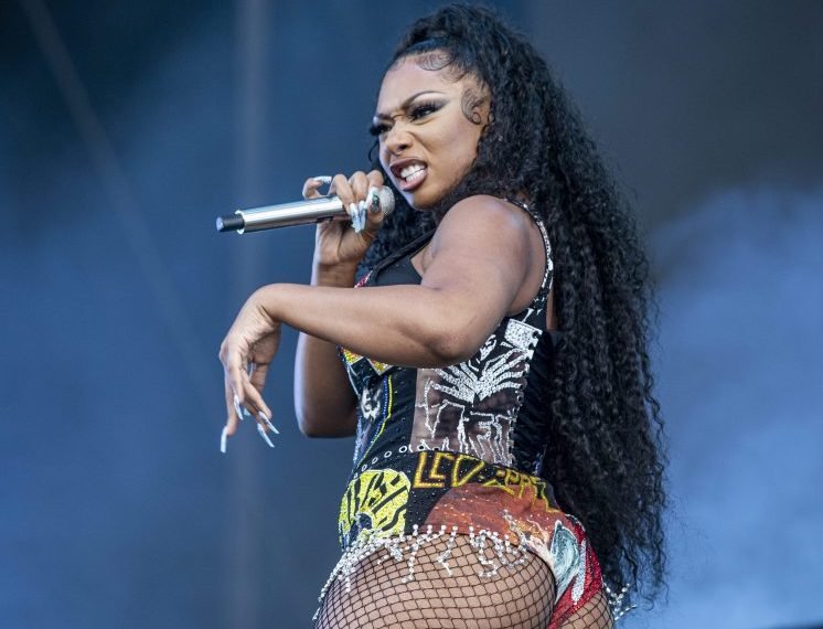 Meanwhile at Lollapalooza: Sign Language Interpreter Nails Megan Thee Stallion’s ‘WAP’ And Somehow Makes Song More Provocative (Video)