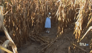 Get lost in a corn maze.