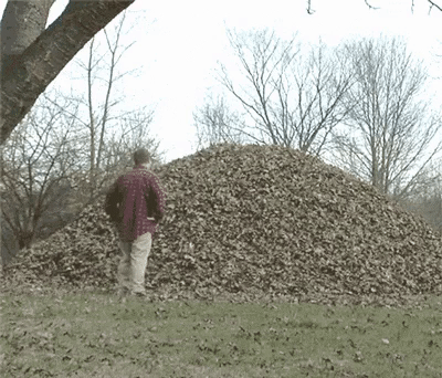 Jump in a giant leaf pile.