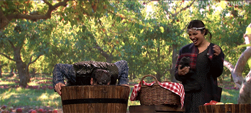 Apples are made of 25 percent air.