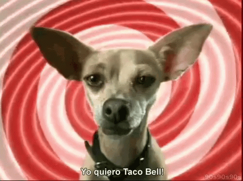 8. Chihuahua (Taco Bell)