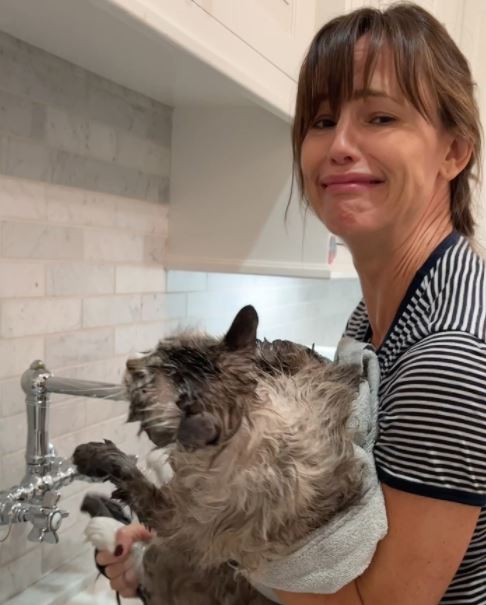 8. Watching Jennifer Garner Hilariously Wash Her Shit-Ridden Cat Reminds Us Why We Don’t Own One