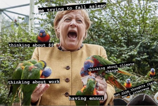 1. Meanwhile in Germany: Viral Angela Merkel Bird Park Pics Make For Hilarious Memes (See the Best)