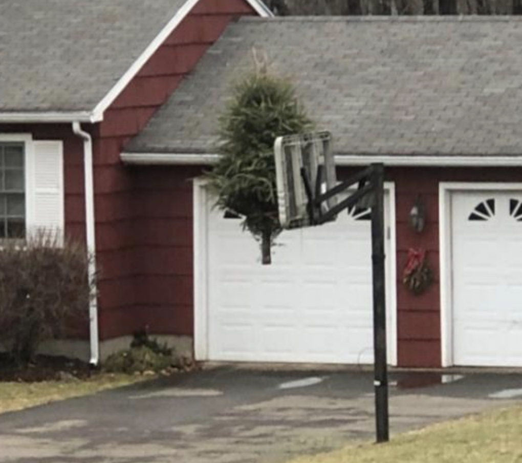 Funny Photos 01-06-2020 #20