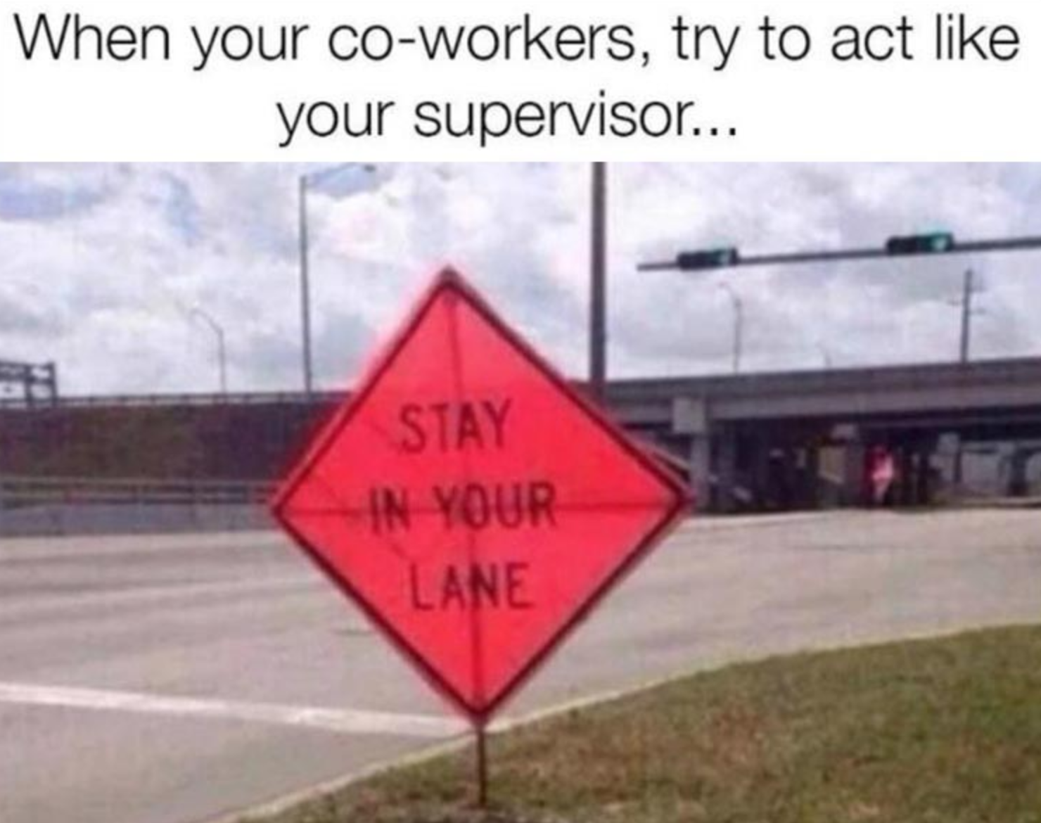 Funny Photos 01-07-2021 #5