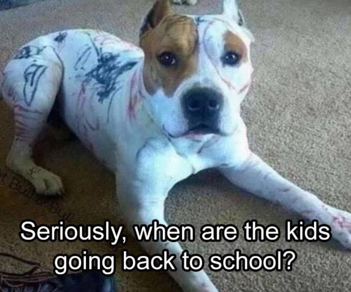 Funny Photos 01-11-2021 #8