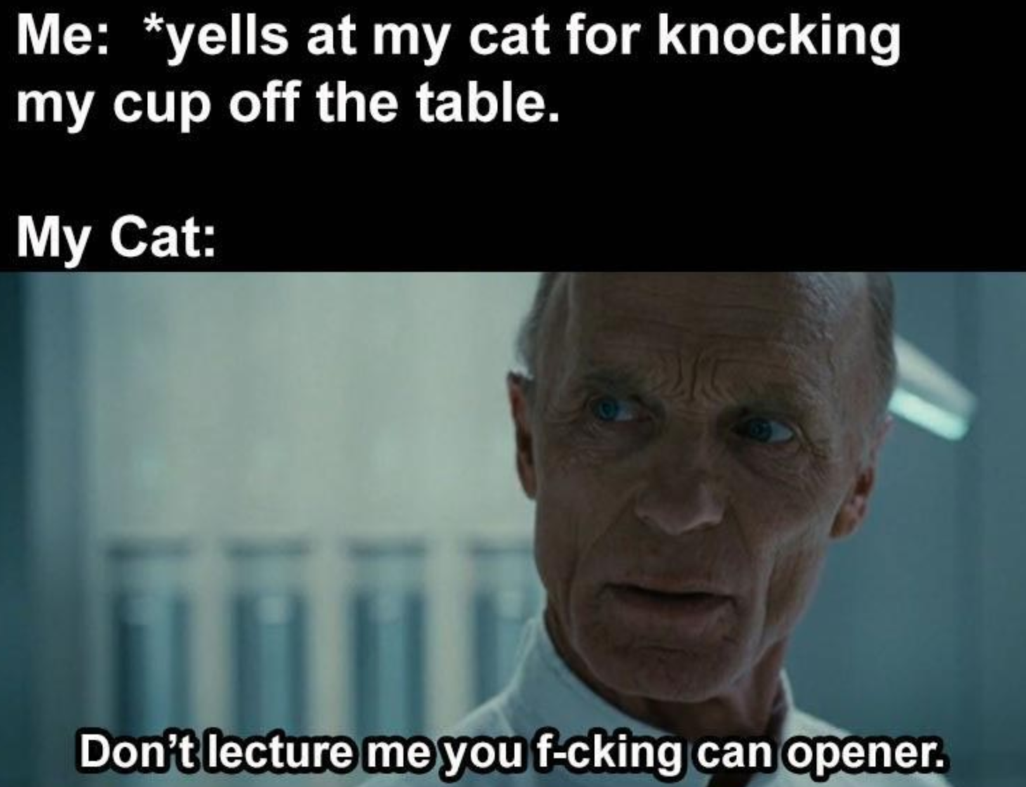 Funny Photos 01-14-2021 #7