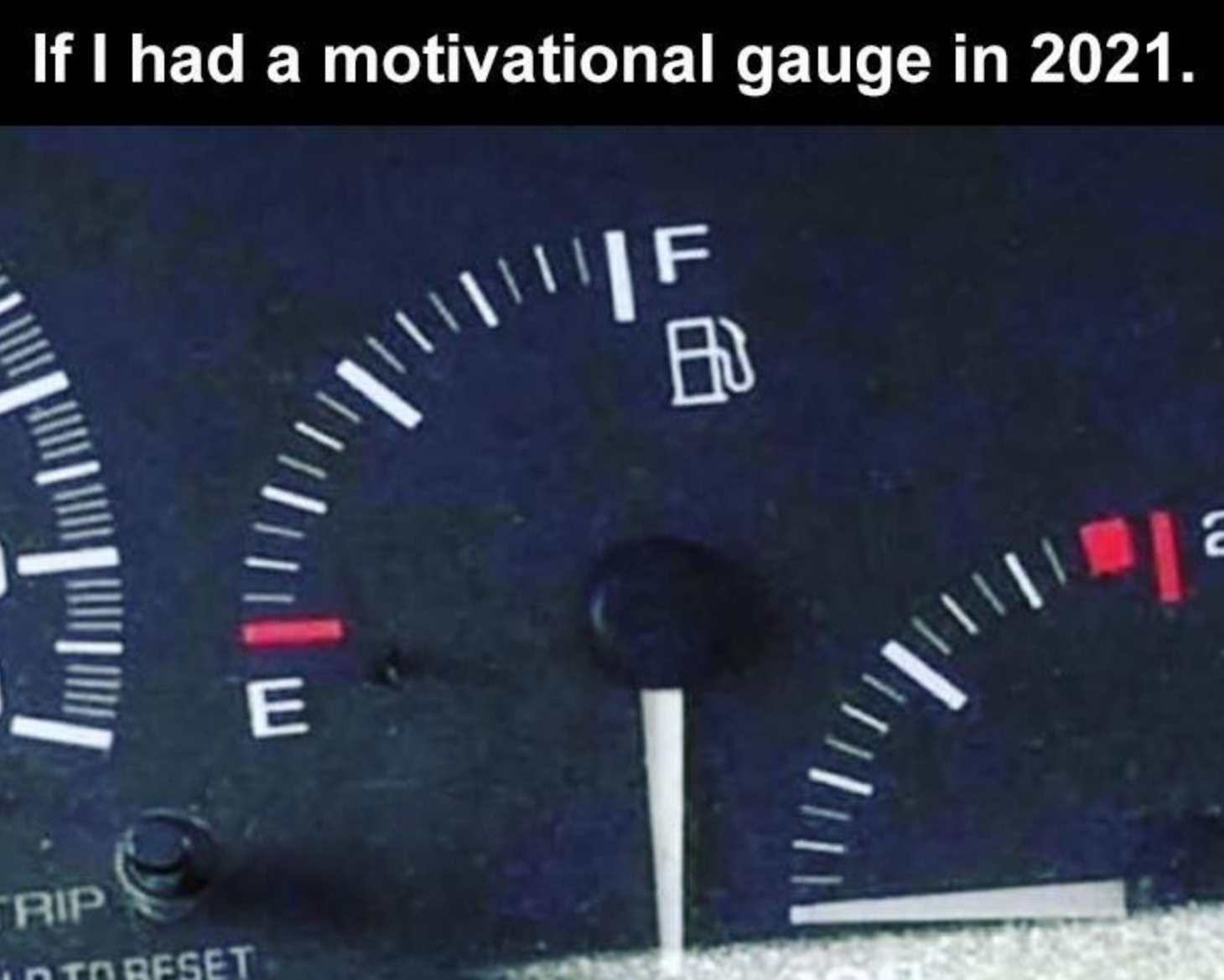 Funny Photos 01-15-2021 #11