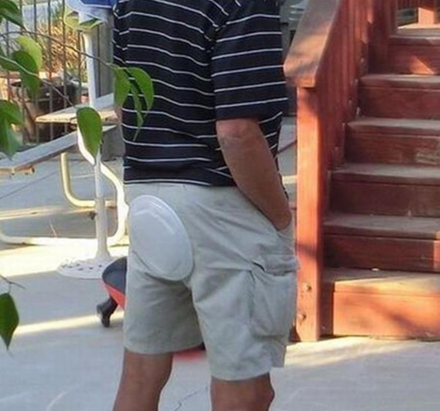 Funny Photos 01-21-2021 #17