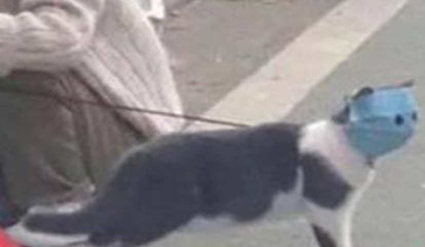 Funny Photos 01-22-2021 #18