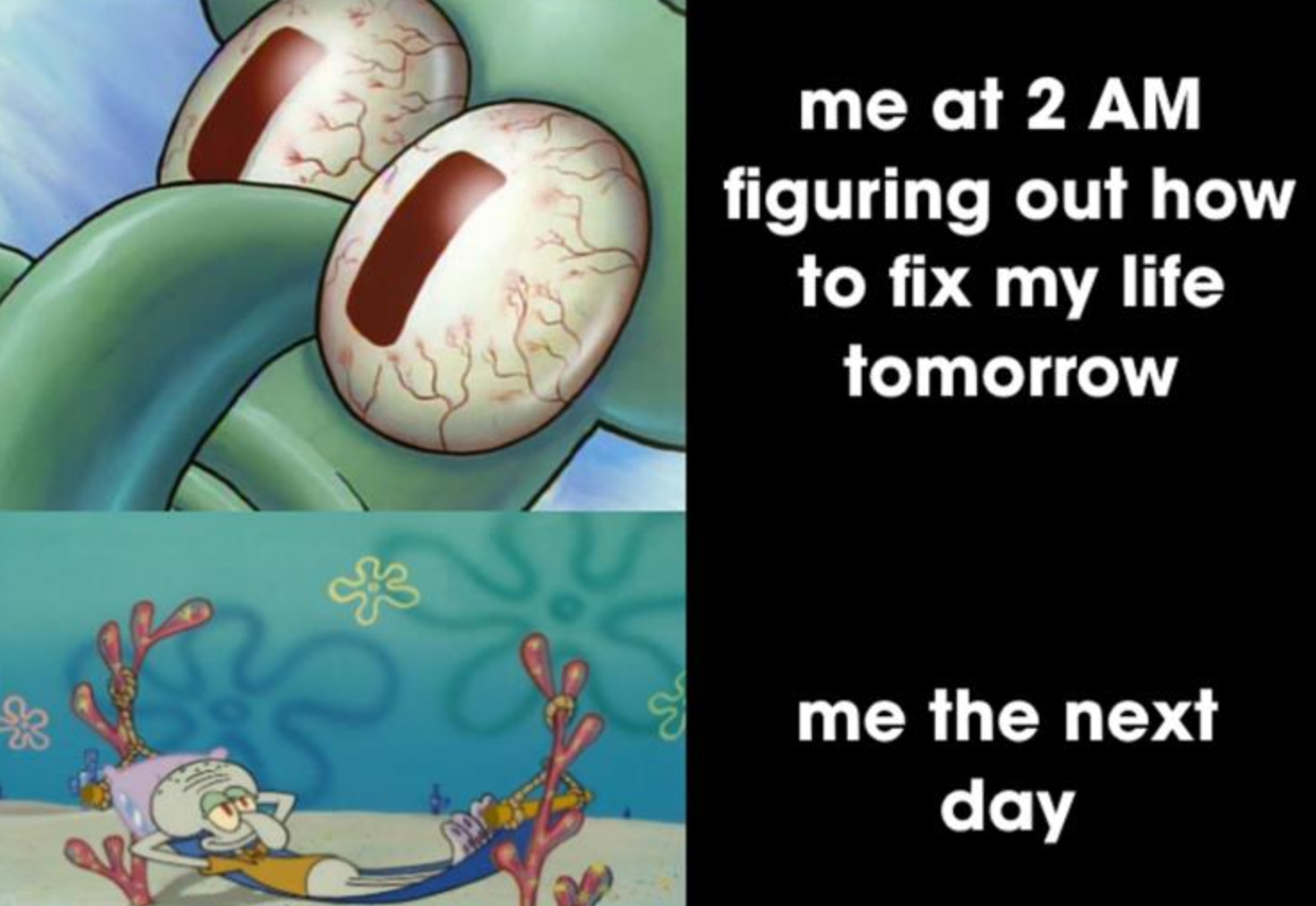 Funny Photos 01-26-2021 #13