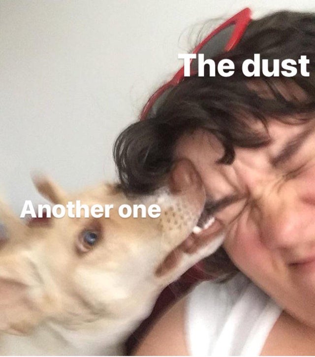 Funny Photos 02-21-2020 #16