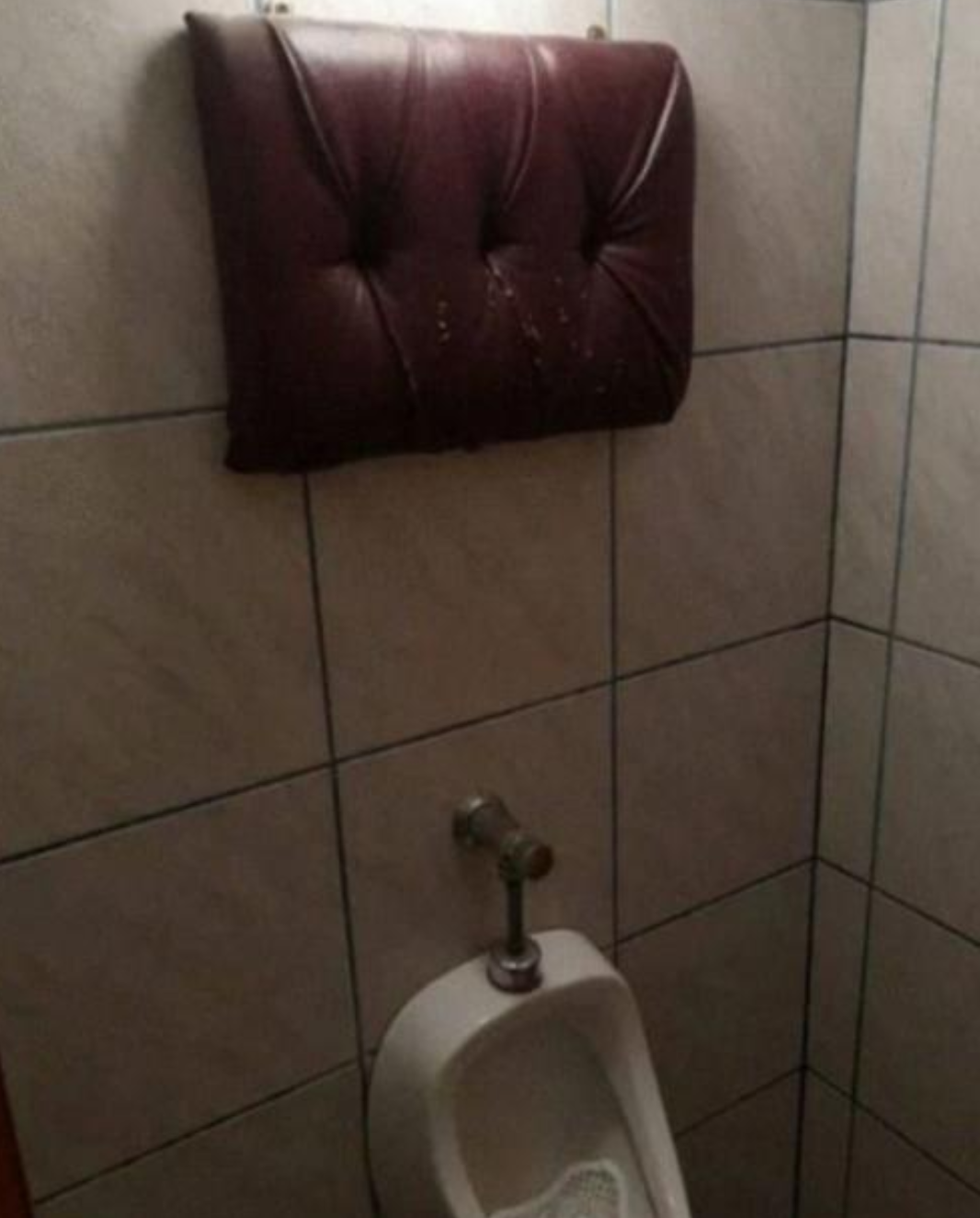 Funny Photos 02-22-2021 #8