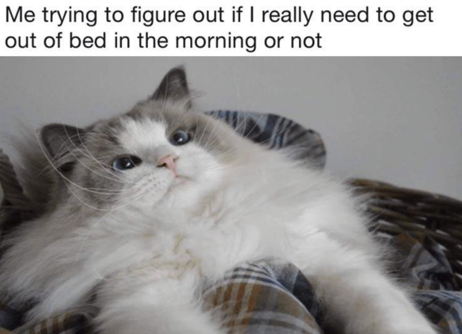 Funny Photos 02-26-2021 #16