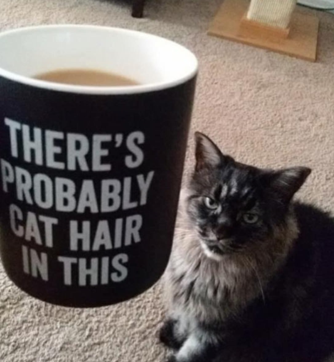 Funny Photos 03-02-2020 #9