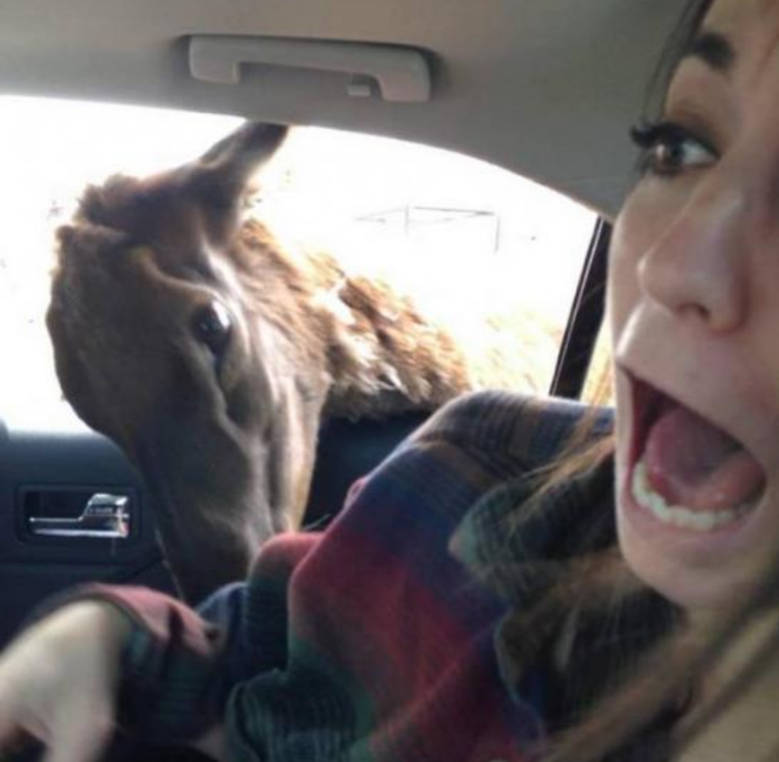 Funny Photos 03-02-2020 #12