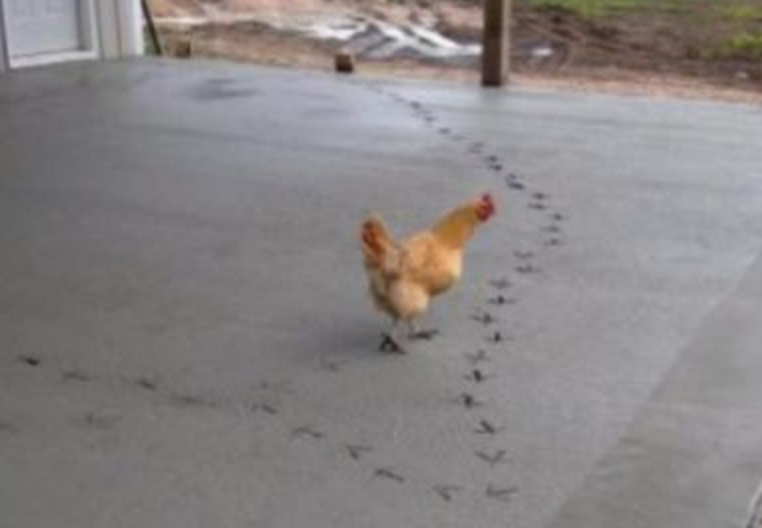 Funny Photos 03-09-2020 #13