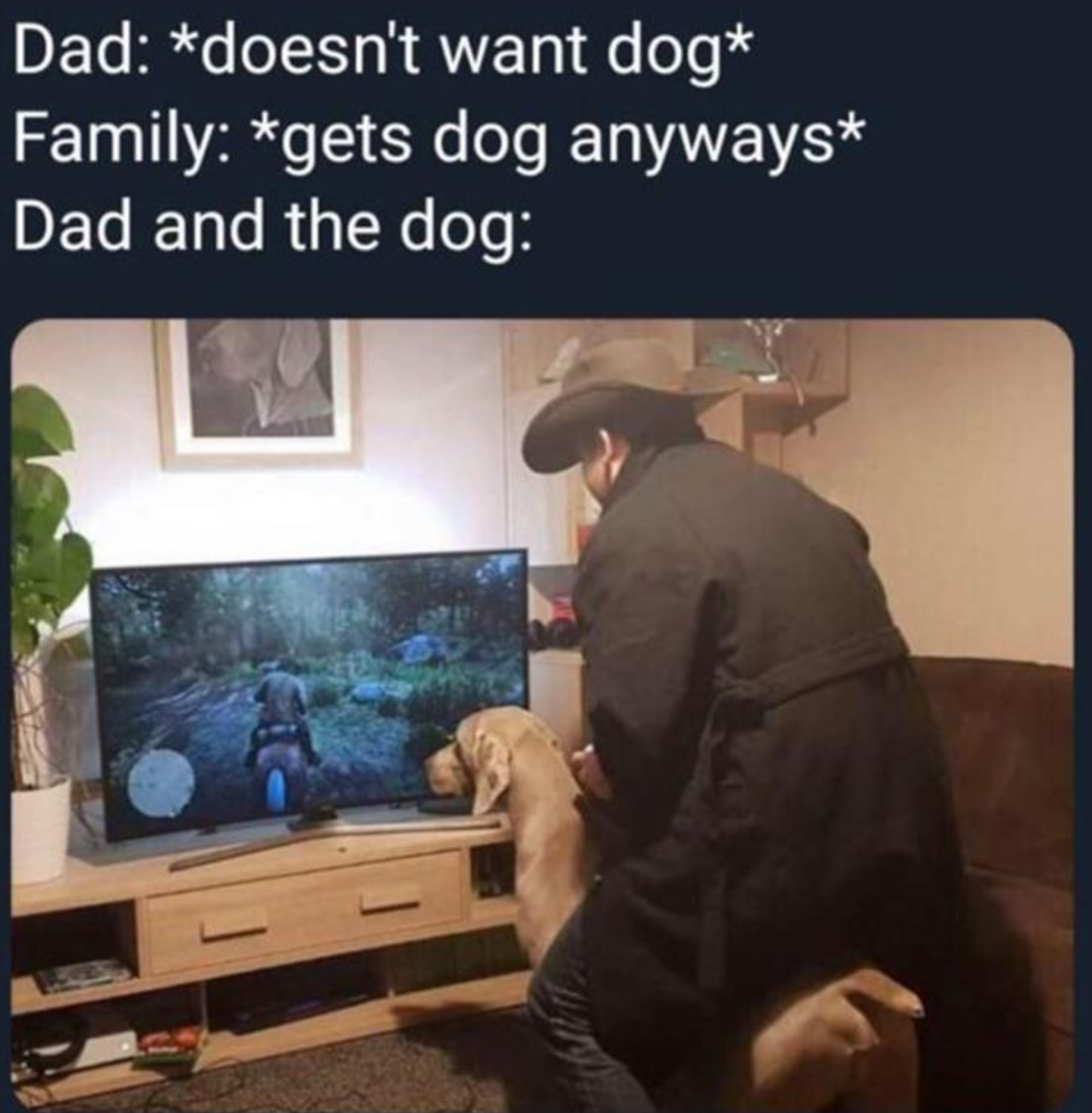 Funny Photos 03-12-2021 #16