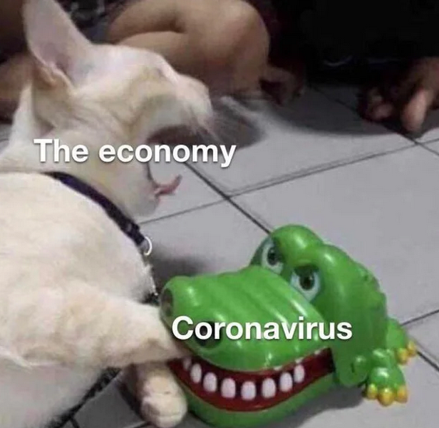 Funny Photos 03-17-2020 #18