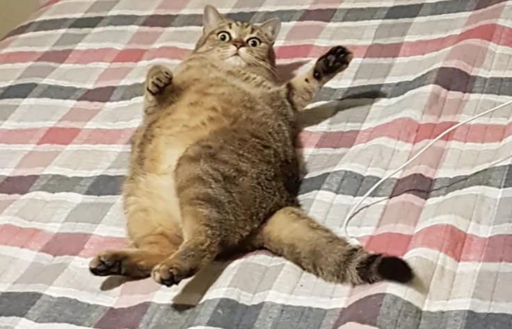 Funny Photos 04-01-2020 #17