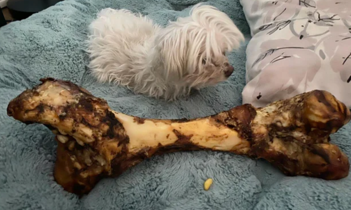 Funny Photos 04-06-2020 #17