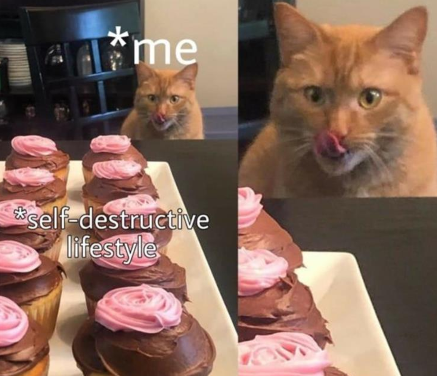 Funny Photos 04-08-2021 #17