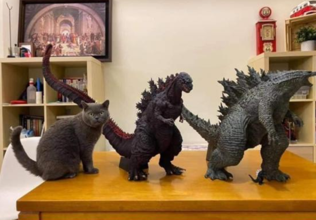 Funny Photos 04-12-2021 #11