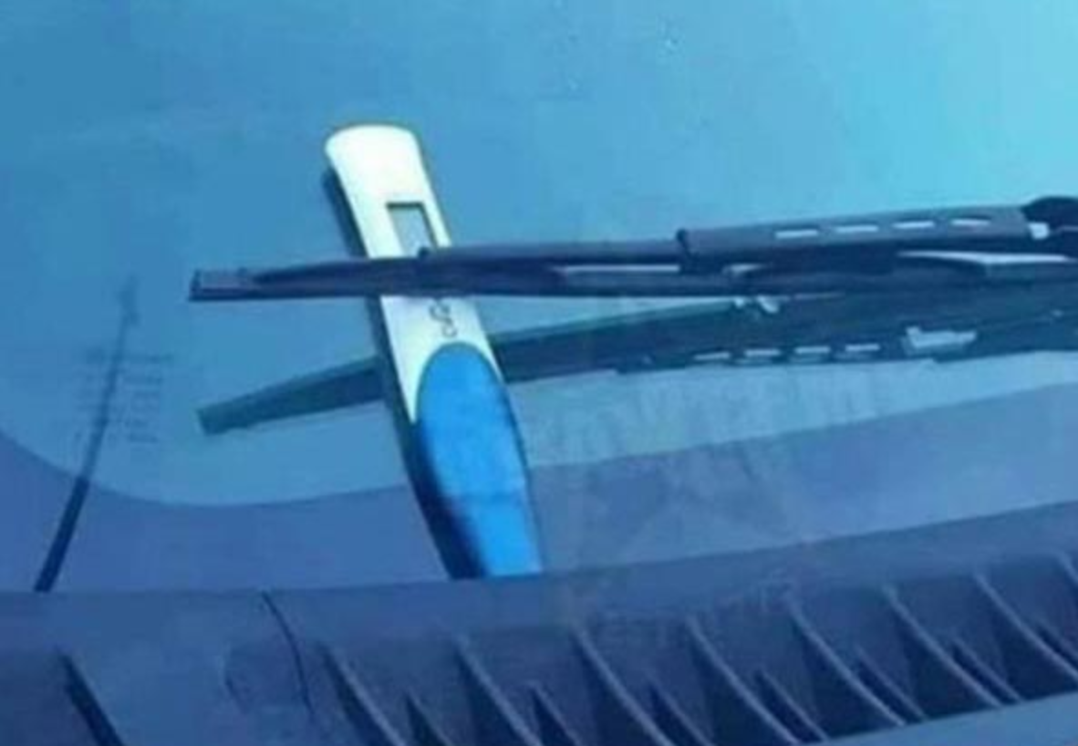 Funny Photos 04-13-2021 #20