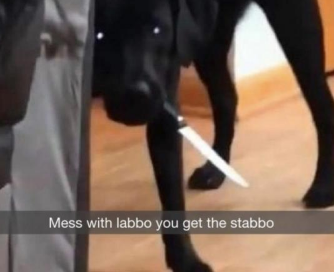 Funny Photos 04-30-2020 #2