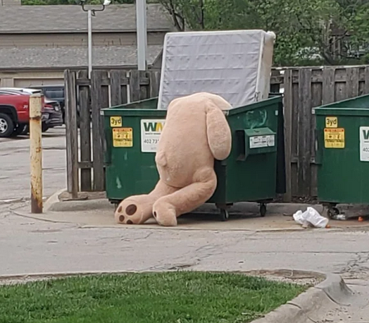 Funny Photos 04-30-2020 #18