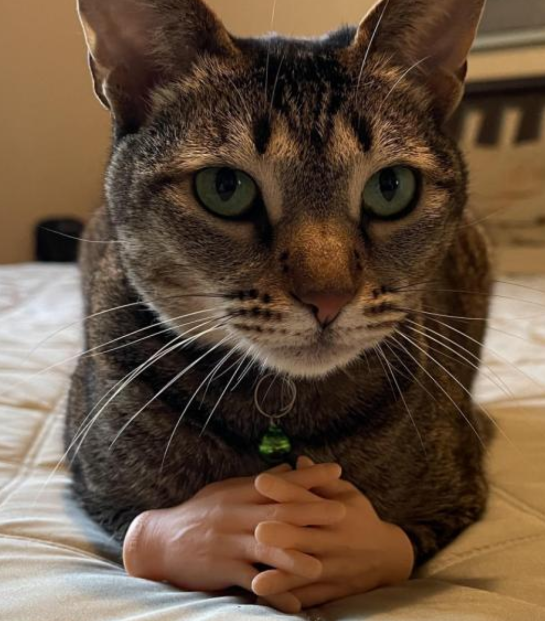 Funny Photos 05-03-2021 #6