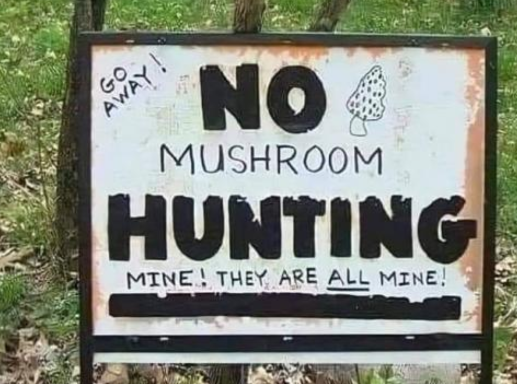 Funny Photos 05-12-2021 #4