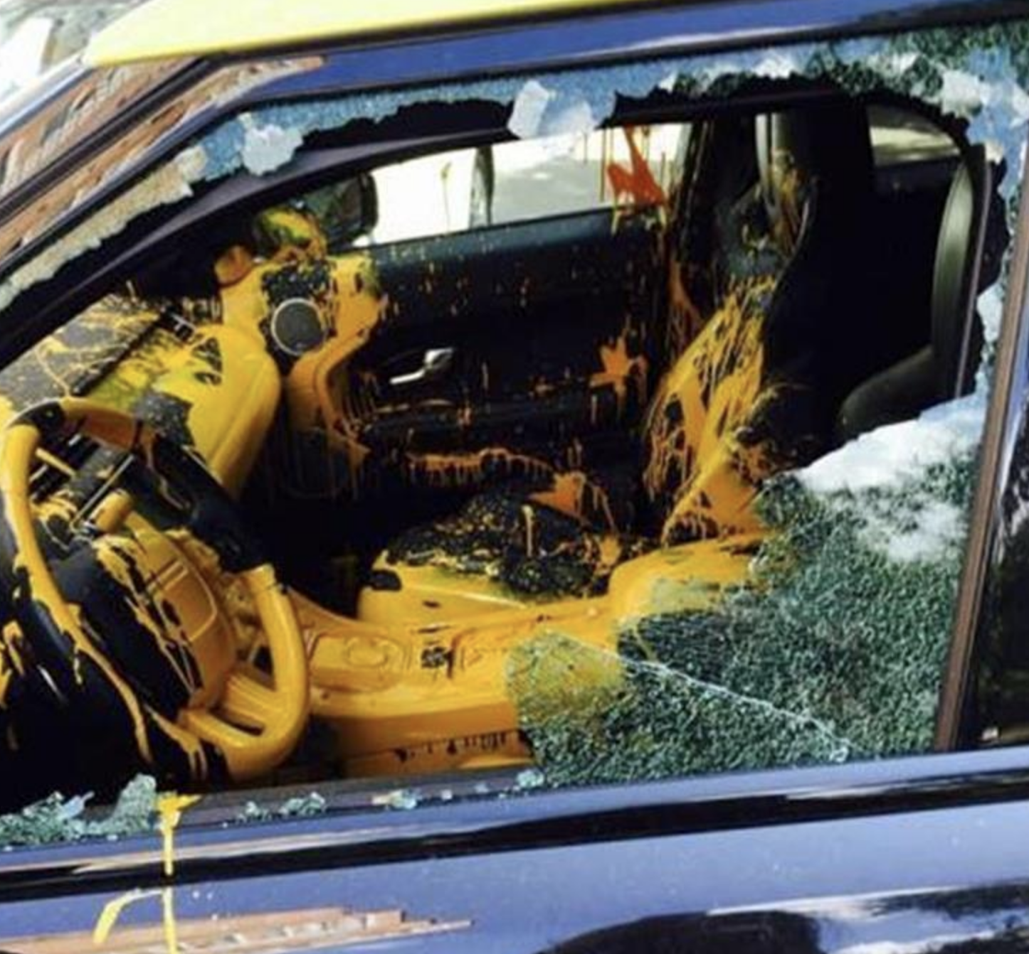 Funny Photos 05-20-2020 #4