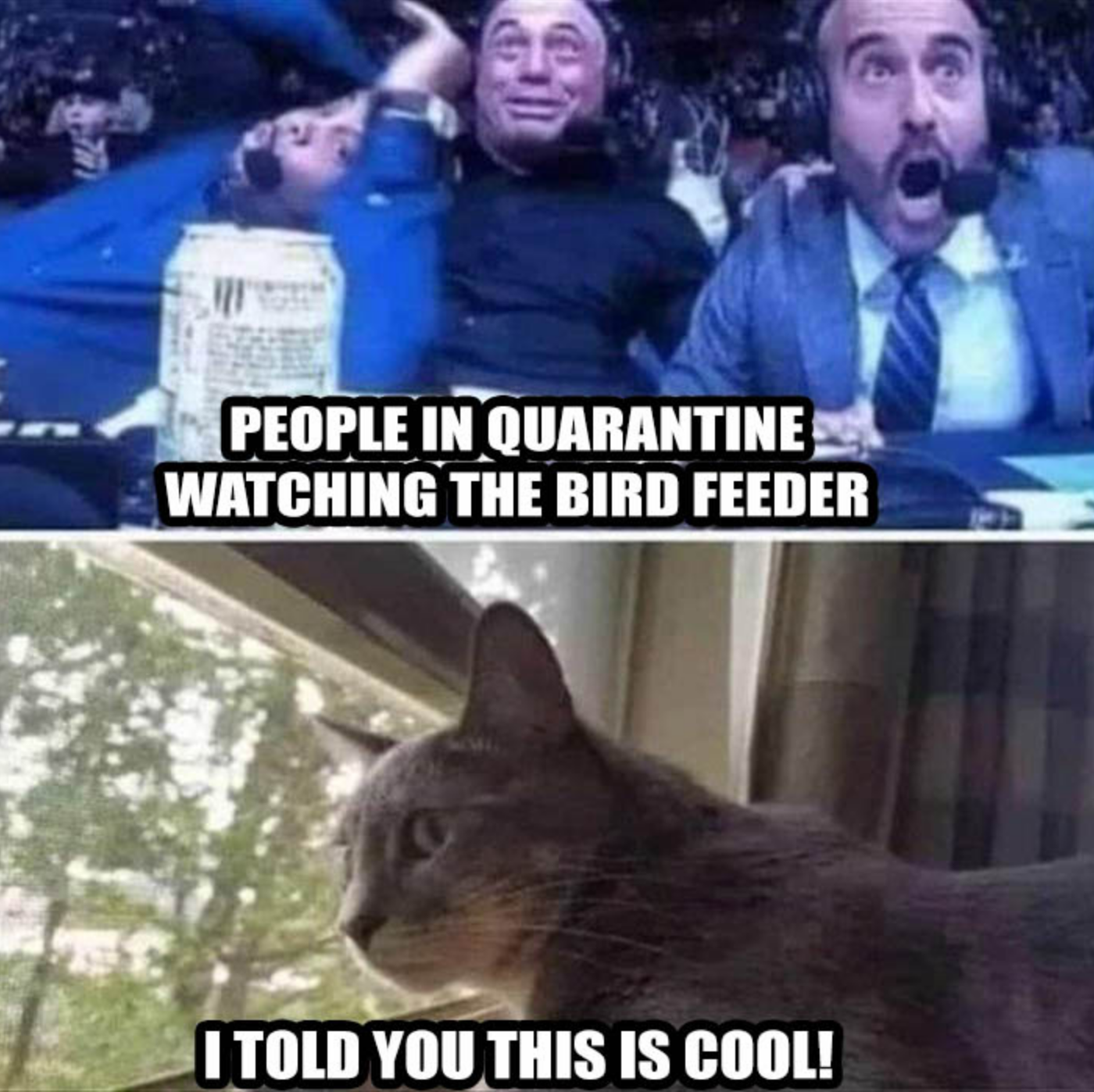 Funny Photos 05-22-2020 #4