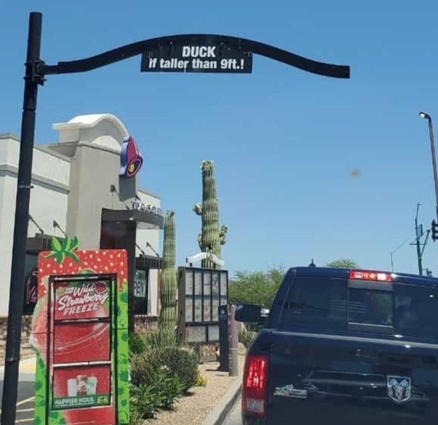 Funny Photos 05-22-2020 #17