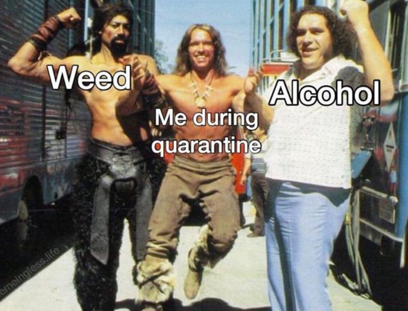 Funny Photos 05-22-2020 #5