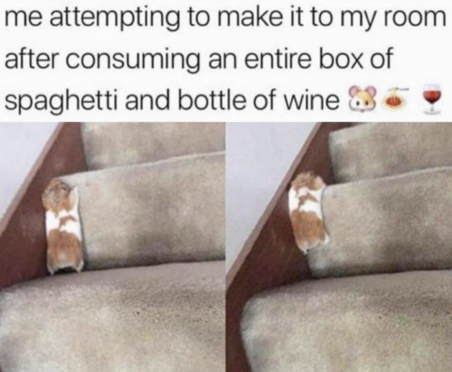 Funny Photos 05-26-2020 #10