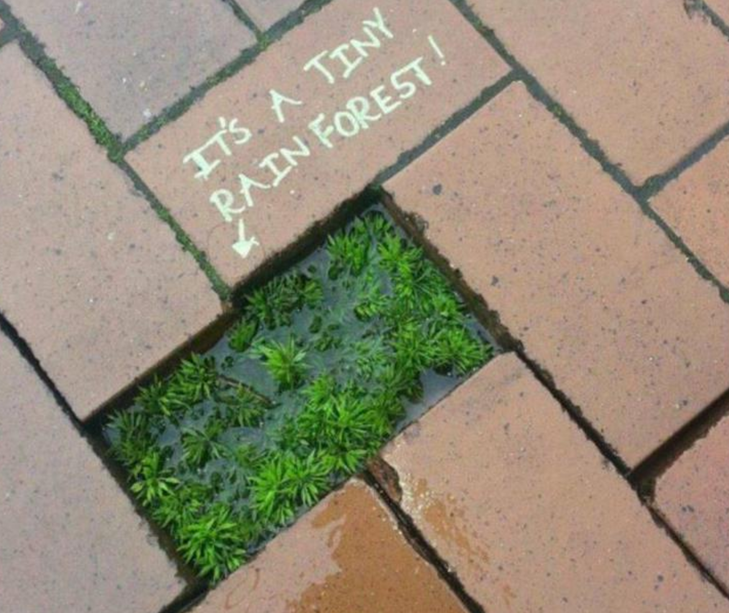 Funny Photos 06-17-2020 #12