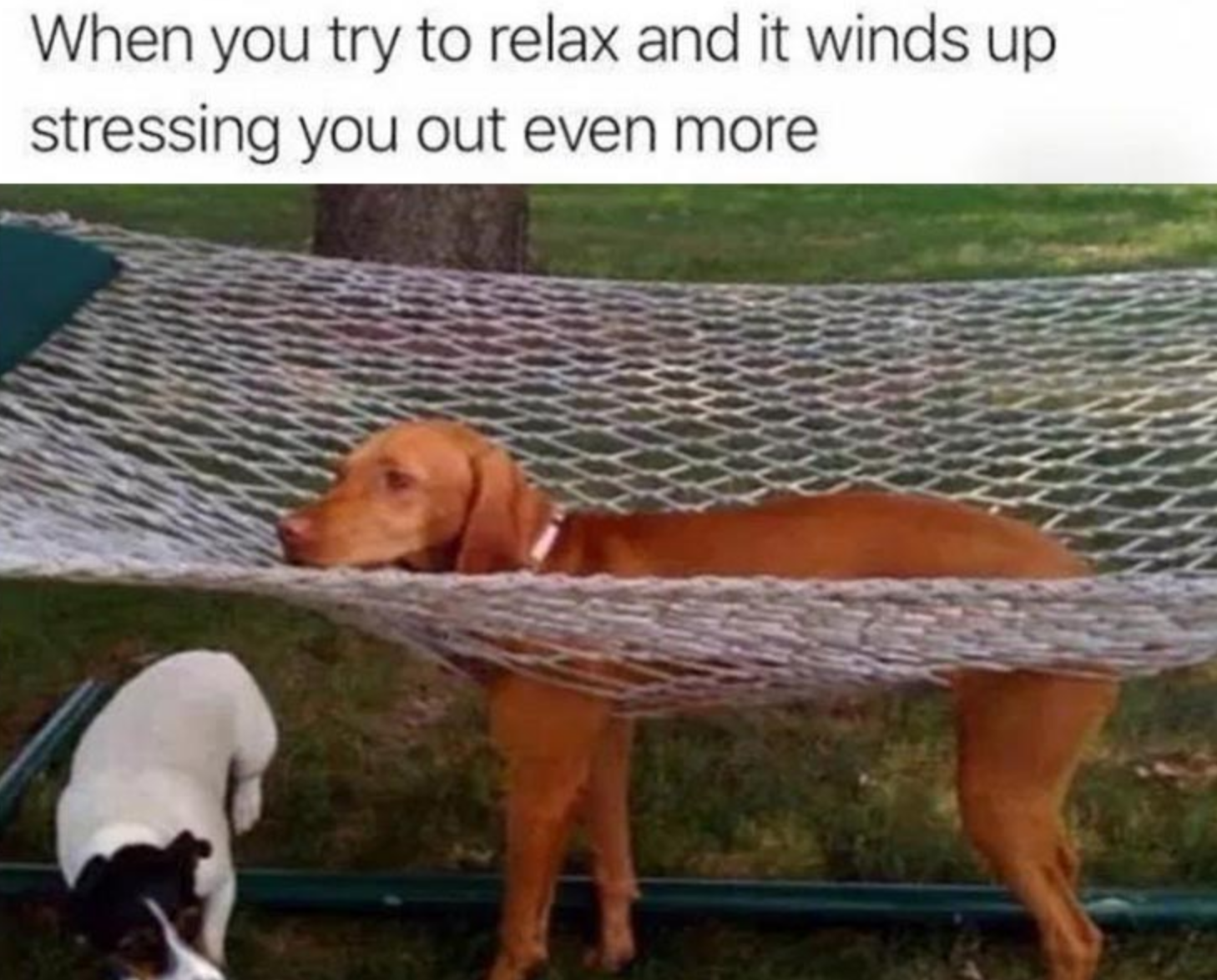 Funny Photos 06-23-2020 #3