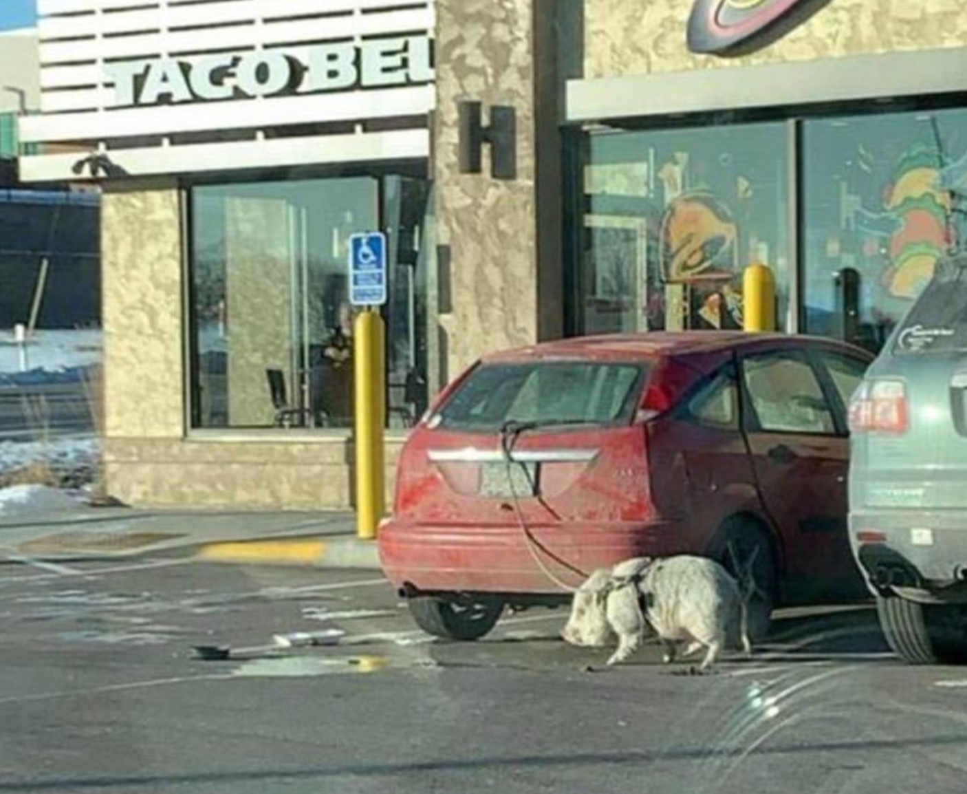 Funny Photos 07-06-2020 #5