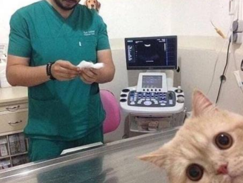 Funny Photos 07-06-2020 #20