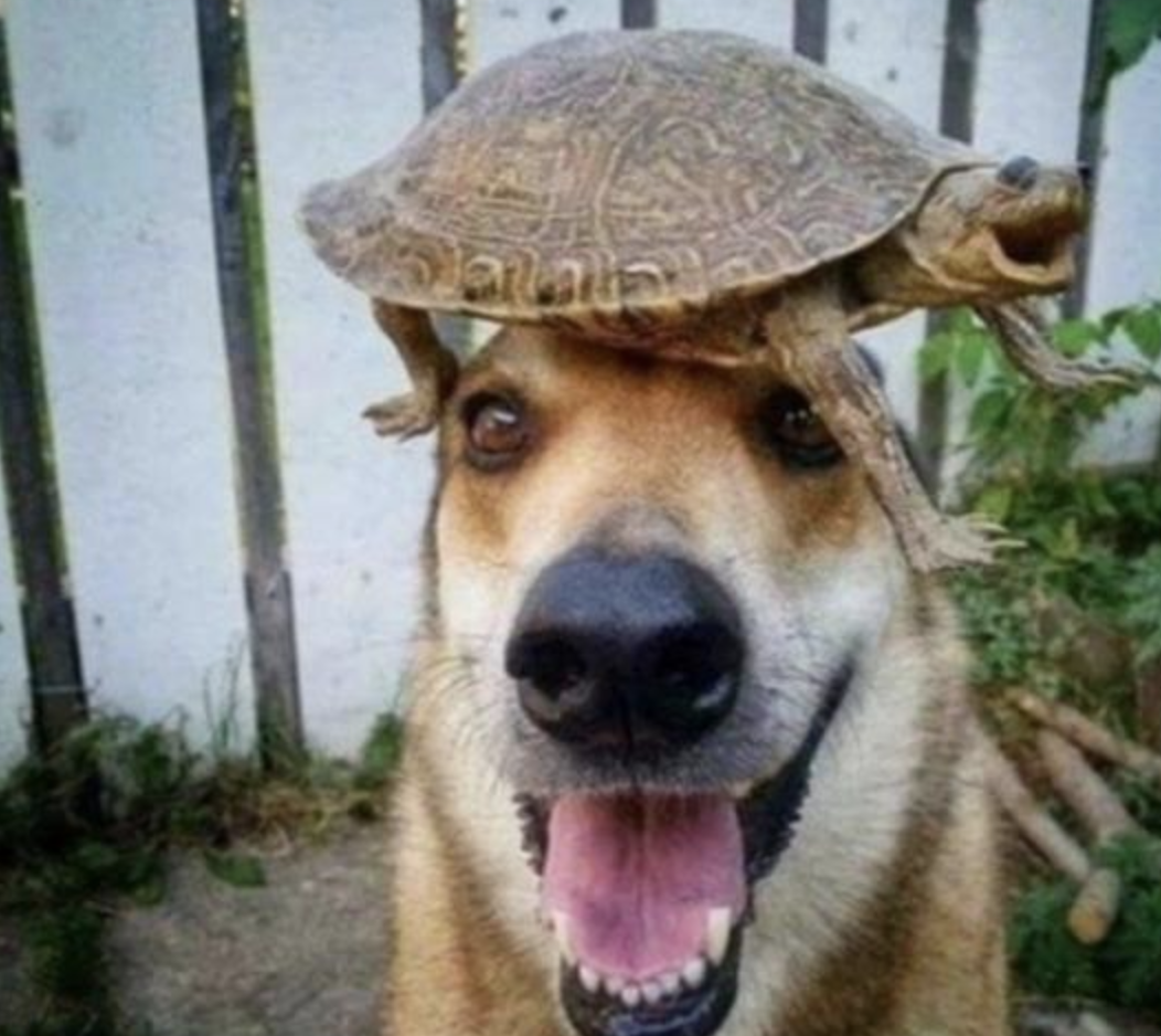 Funny Photos 07-07-2021 #16