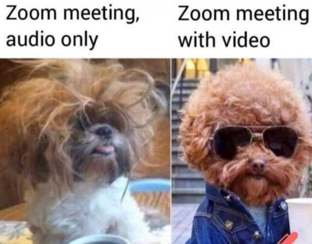 Funny Photos 07-14-2020 #4