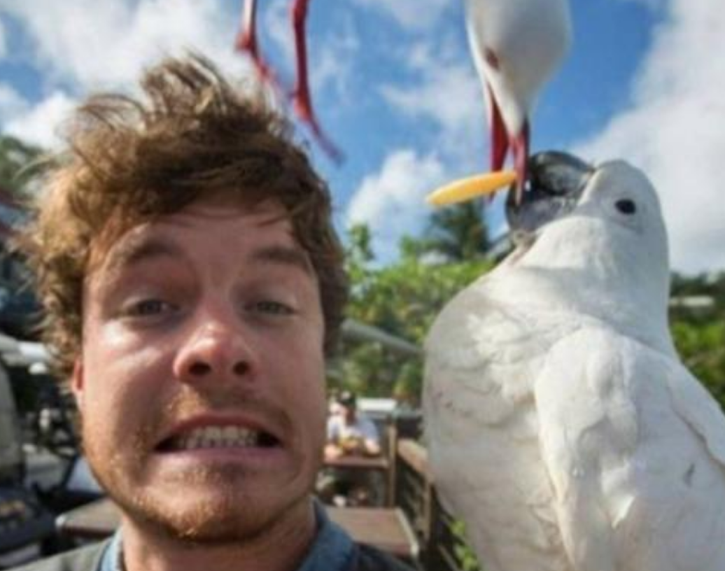 Funny Photos 07-15-2020 #1