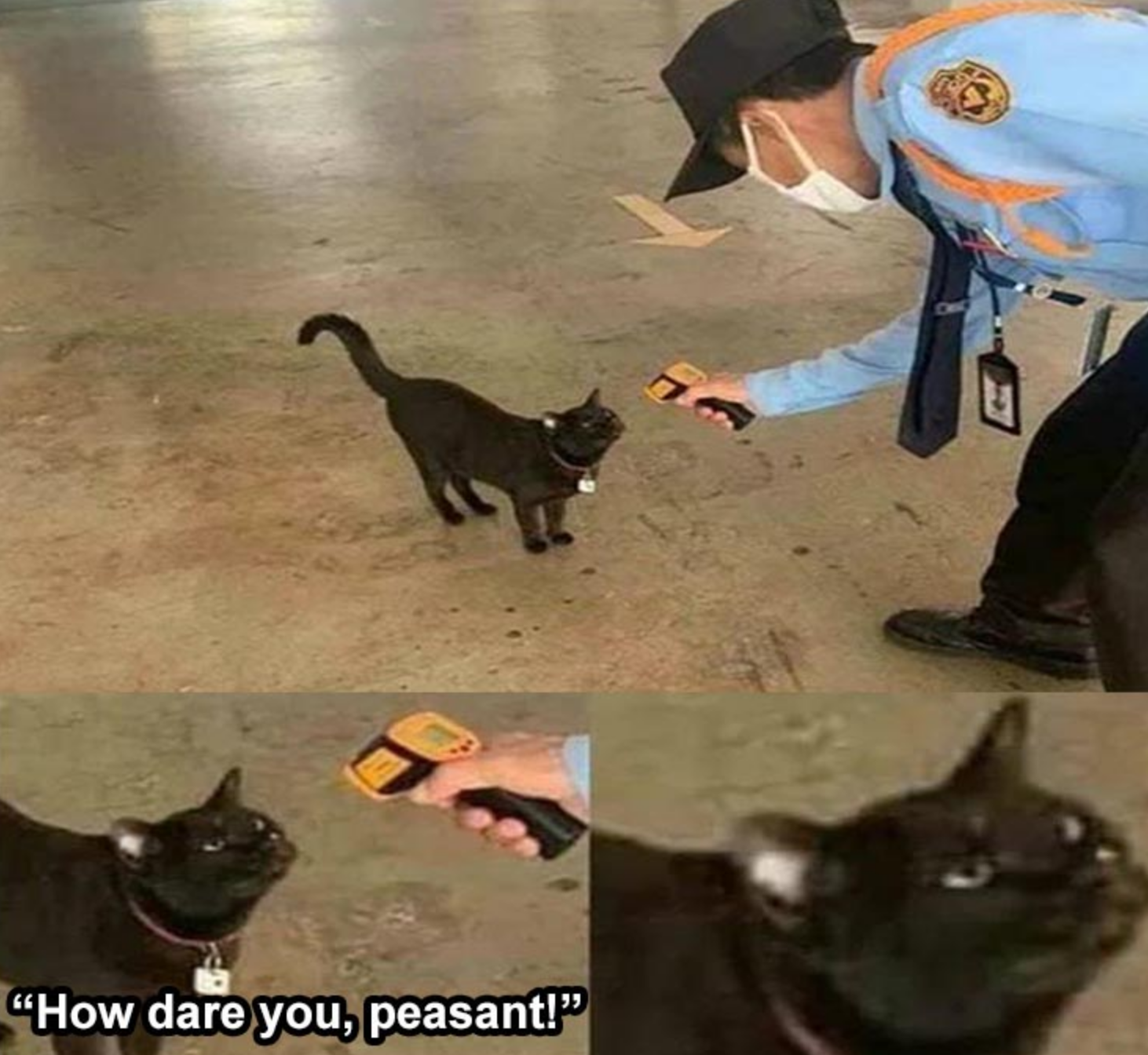 Funny Photos 07-15-2020 #5