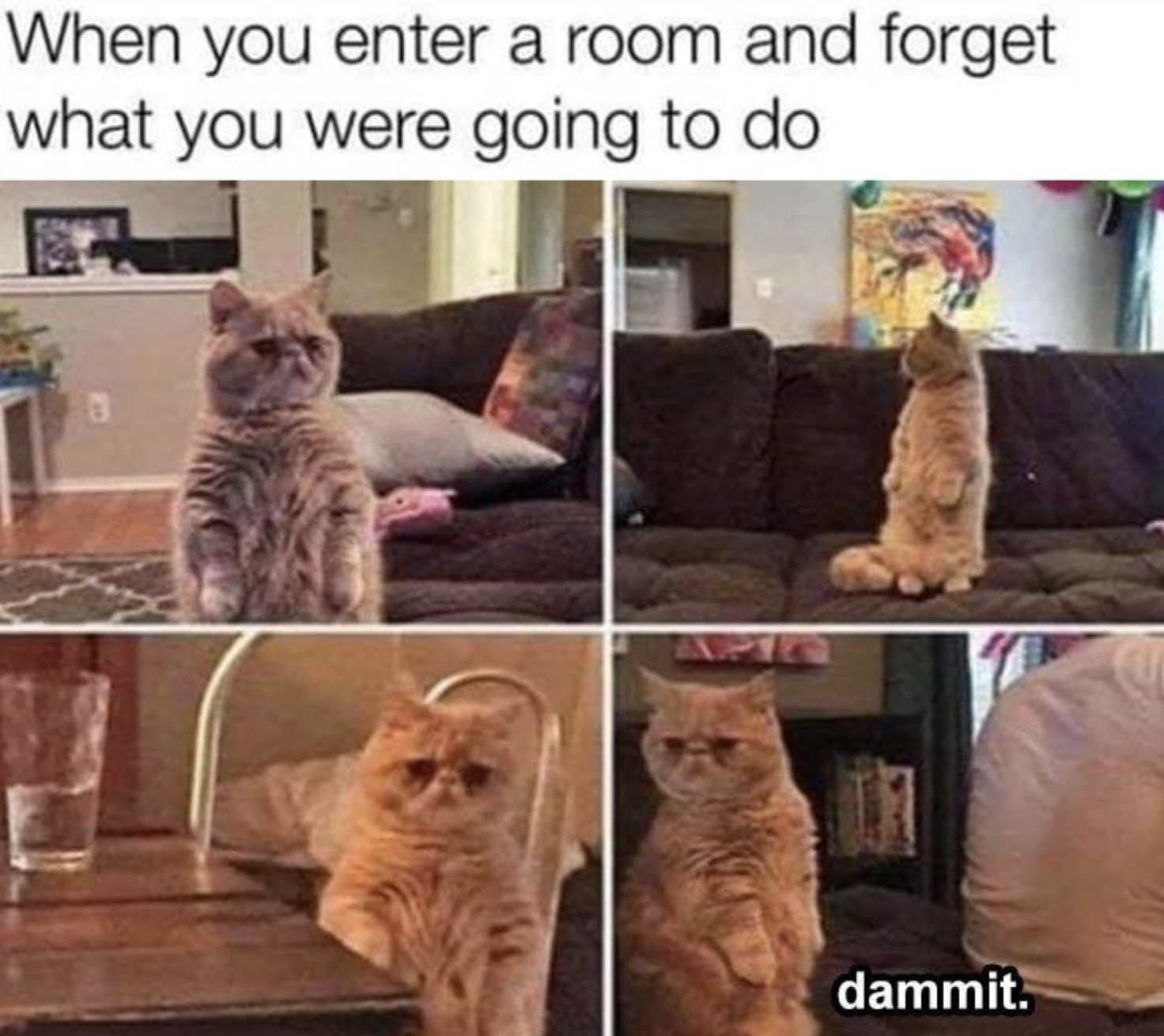 Funny Photos 07-16-2021 #17