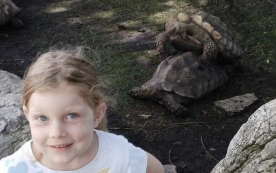 Funny Photos 07-23-2020 #1