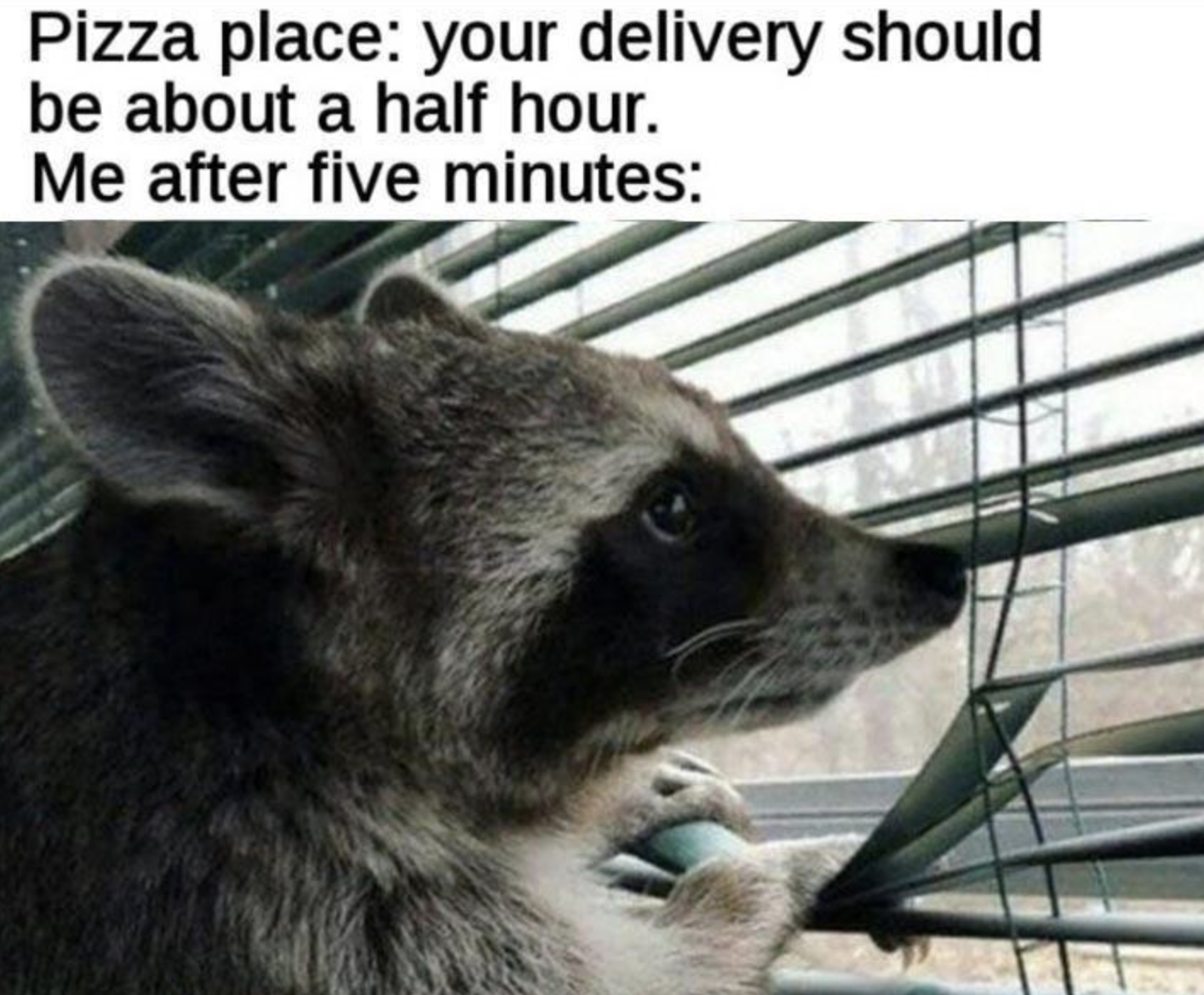 Funny Photos 07-23-2021 #13