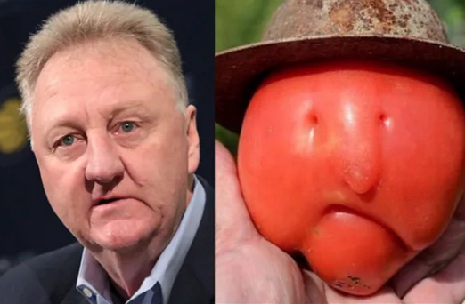 Funny Photos 08-03-2020 #15